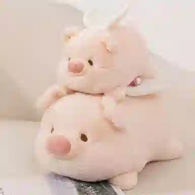 20cm30cm