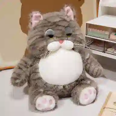 25cm35cm