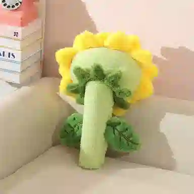 35cm 43cm