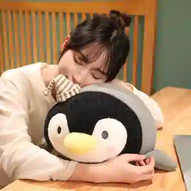 40cm50cm