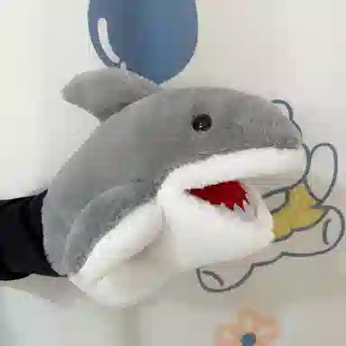 25cm