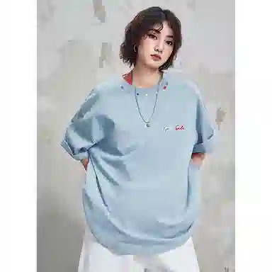 DZH T