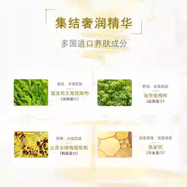 STEGNER 118ml*100ml*50g