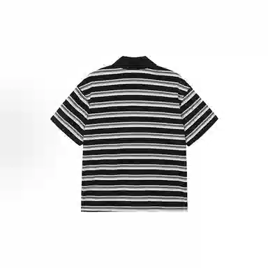 W7H1 POLOinsT
