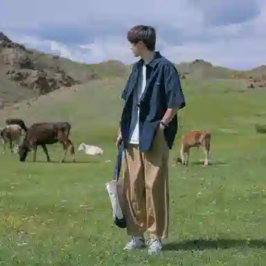 W7H1
