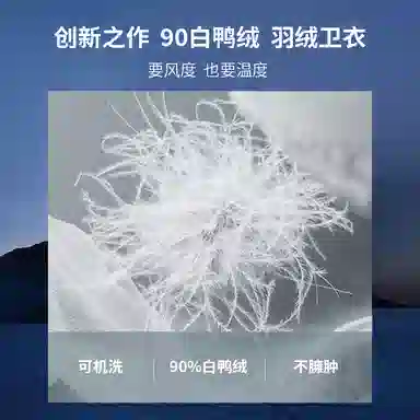 PAUL COSTELLOE Down Hoodie Embroidered Logo