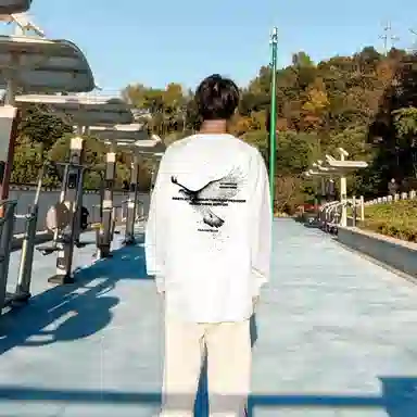 PAUL COSTELLOE logoT