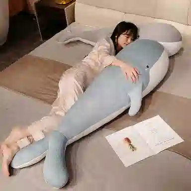50cm80cm100cm120cm