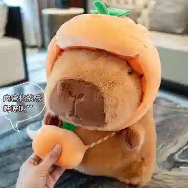 25cm 35cm