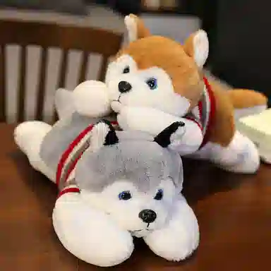 50cm