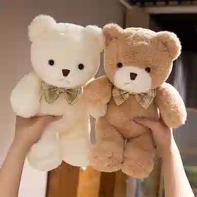 30cm40cm