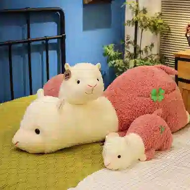 55cm75cm100cm120cm