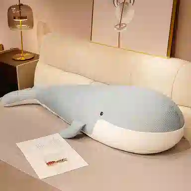 50cm80cm100cm120cm