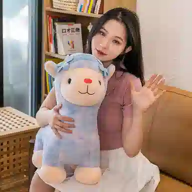 35cm45cm