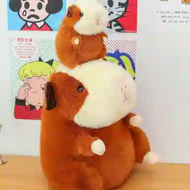 20cm30cm40cm50cm