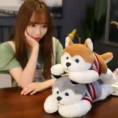 50cm