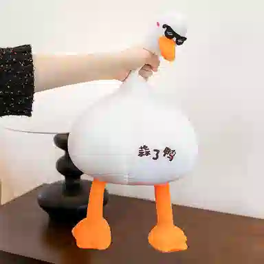 50cm75cm100cm