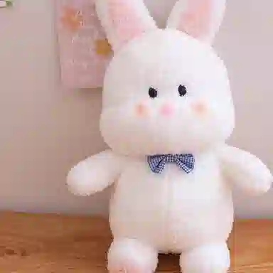 25cm35cm