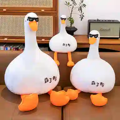 50cm75cm100cm