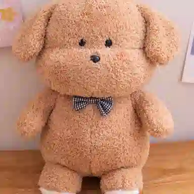 25cm35cm