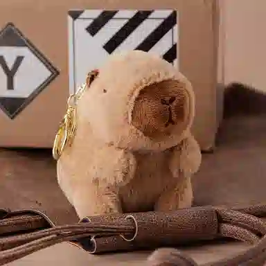 10cm