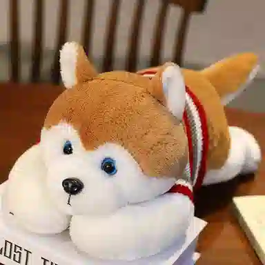 50cm
