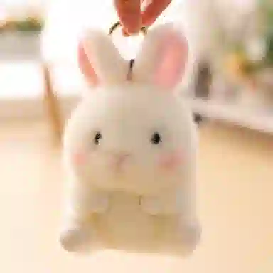 13cm