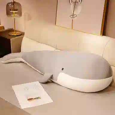 50cm80cm100cm120cm
