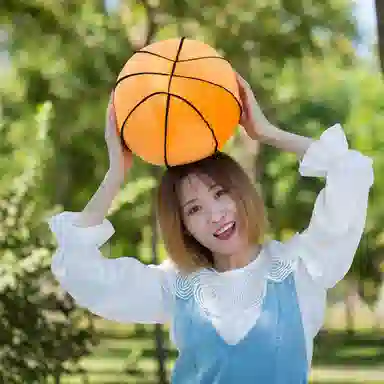 23cm33cm