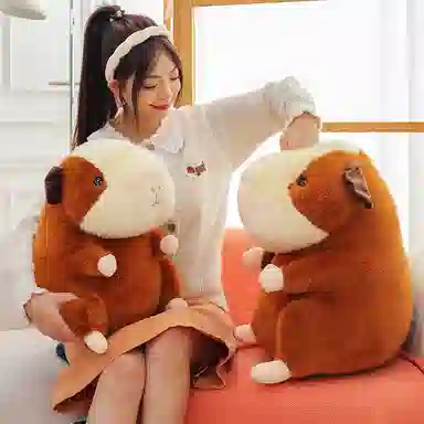 20cm30cm40cm50cm