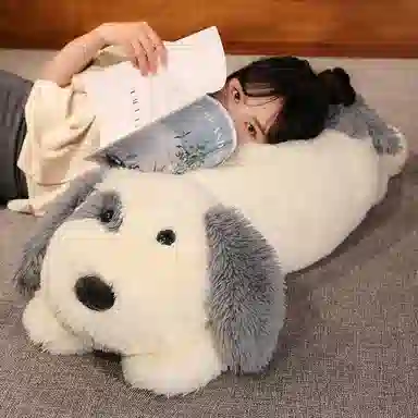 65cm80cm100cm