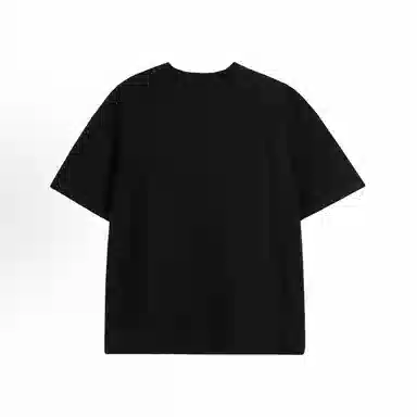 WELTER EXPERIMENT T