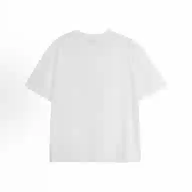 WELTER EXPERIMENT T