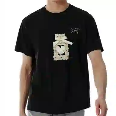 Arcteryx KRAGG logoT