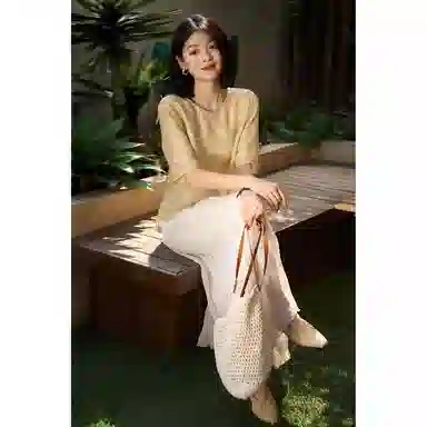 雾闪闪 梅竹雅韵温婉新中式提花短袖上衣优雅雪纺衫 女款