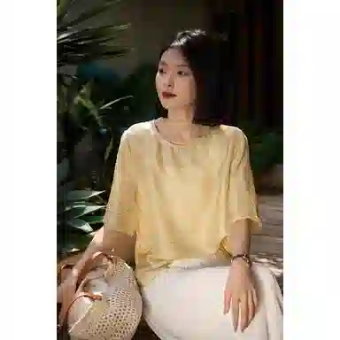 雾闪闪 梅竹雅韵温婉新中式提花短袖上衣优雅雪纺衫 女款