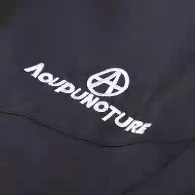 Acupuncture LOGO