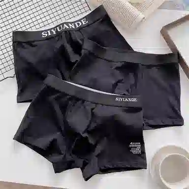 ECONICE Mid-Rise Plus Size Boxer Briefs