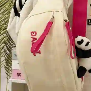 泰格奴 百搭简约撞色轻便潮流 涤纶（聚酯纤维） 胸包 女款 多色