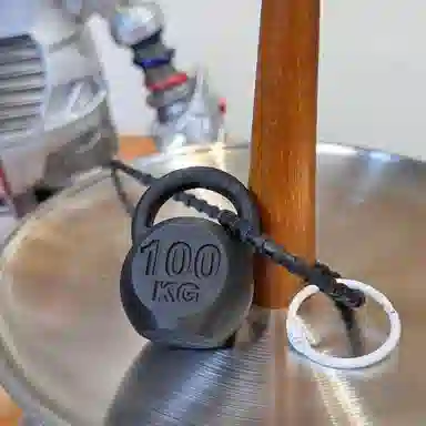100KG