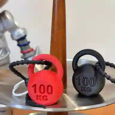 100KG