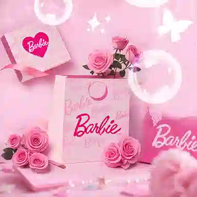 Barbie ins
