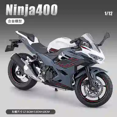 H 1 Ninjia400 112