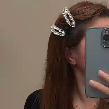 希铃 超仙高级感 清冷感 树脂 发夹 女款