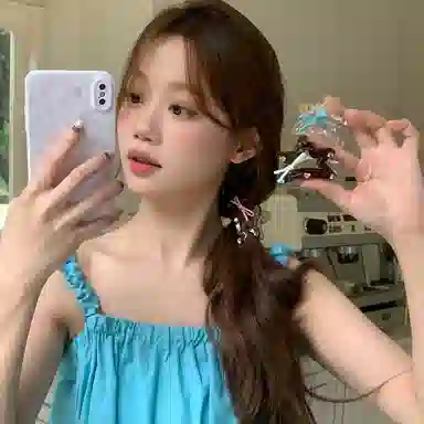 希铃 彩色蝴蝶结海星高级鲨鱼夹 亚克力 发夹 女款