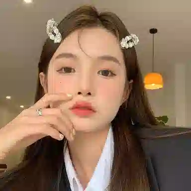 希铃 超仙高级感 清冷感 树脂 发夹 女款