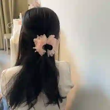 希铃 花朵温柔甜美田园风 粉色 优雅 丸子抓 高马尾抓欧根纱 亚克力 发夹 女款