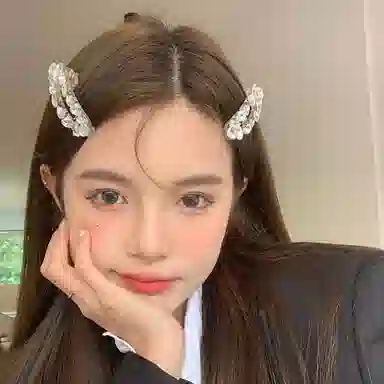 希铃 超仙高级感 清冷感 树脂 发夹 女款