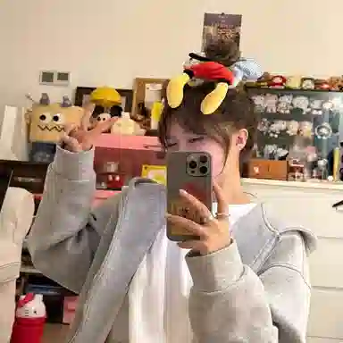 希铃 屁屁可爱格子款丸子头大肠 棉麻 发圈 女款