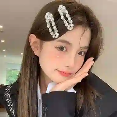 希铃 超仙高级感 清冷感 树脂 发夹 女款